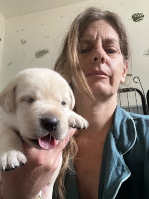 CHIOT 8